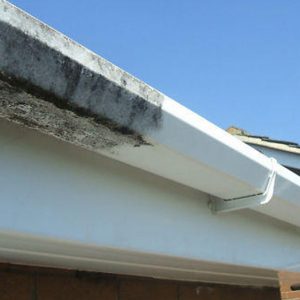 Gutter/Fascia Board Cleaning