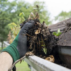 Gutter Clearing