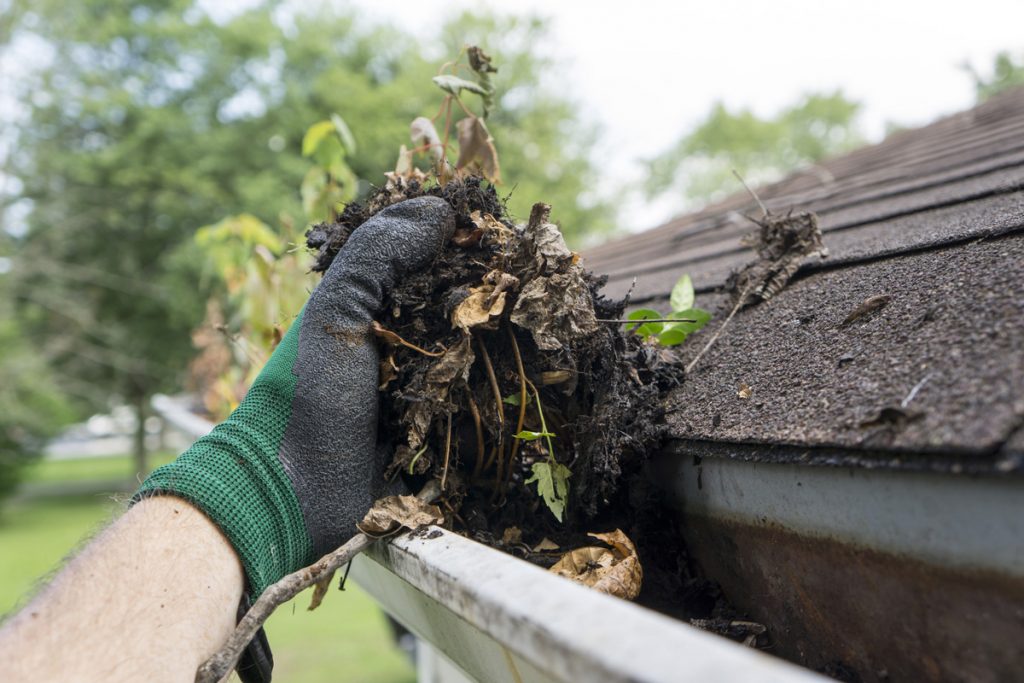 Cheltenham Gutter Cleaning Outlook Window Cleaning, Familyrun Window